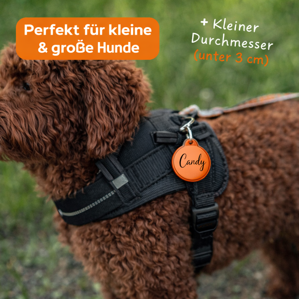 Die innovative Hundemarke