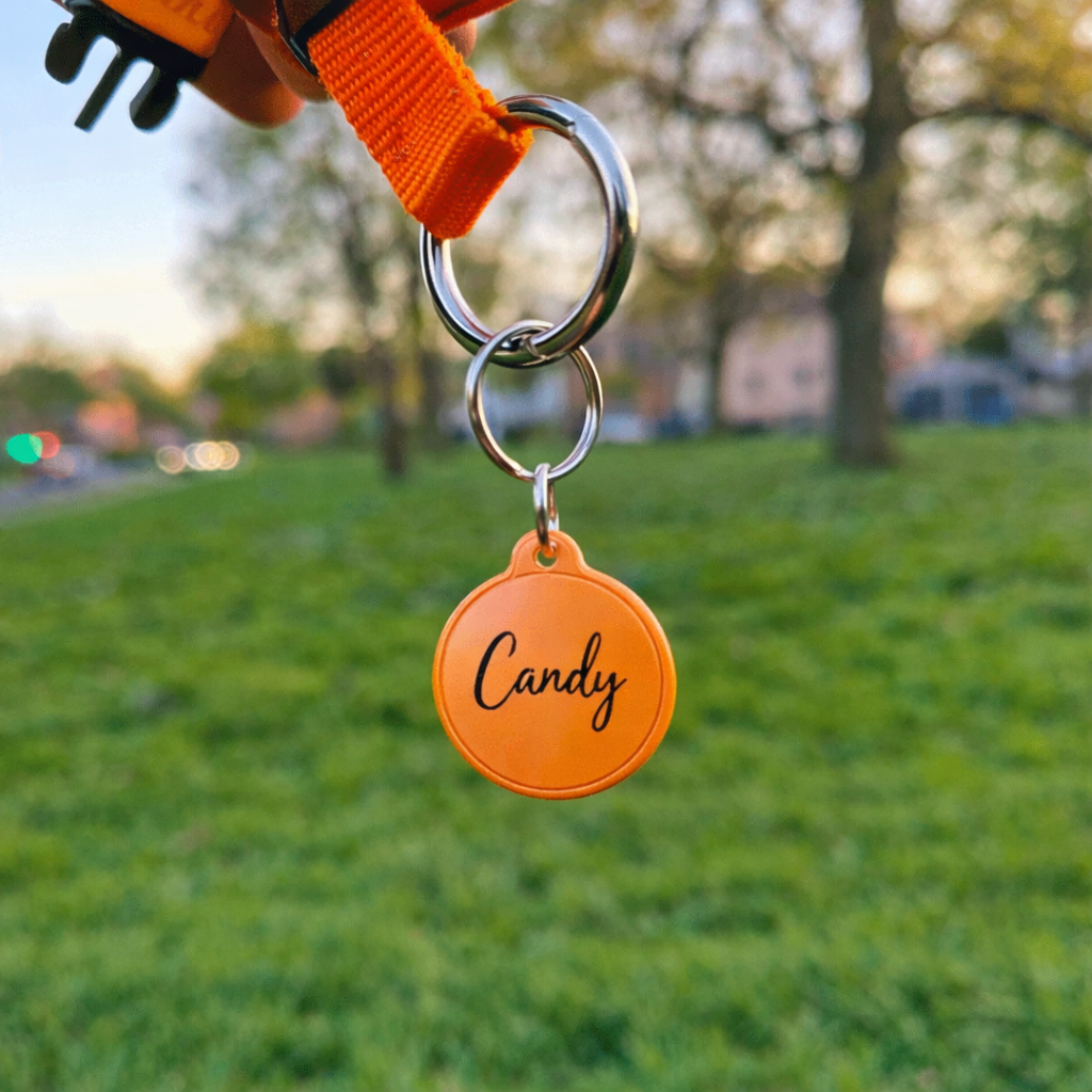 Die innovative Hundemarke