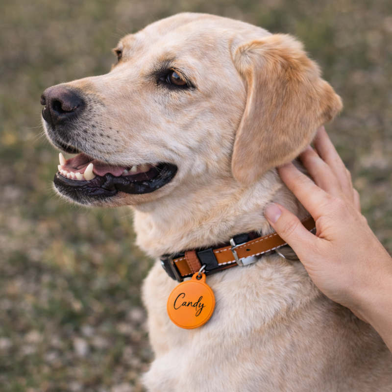 Im Ernstfall gefunden werden